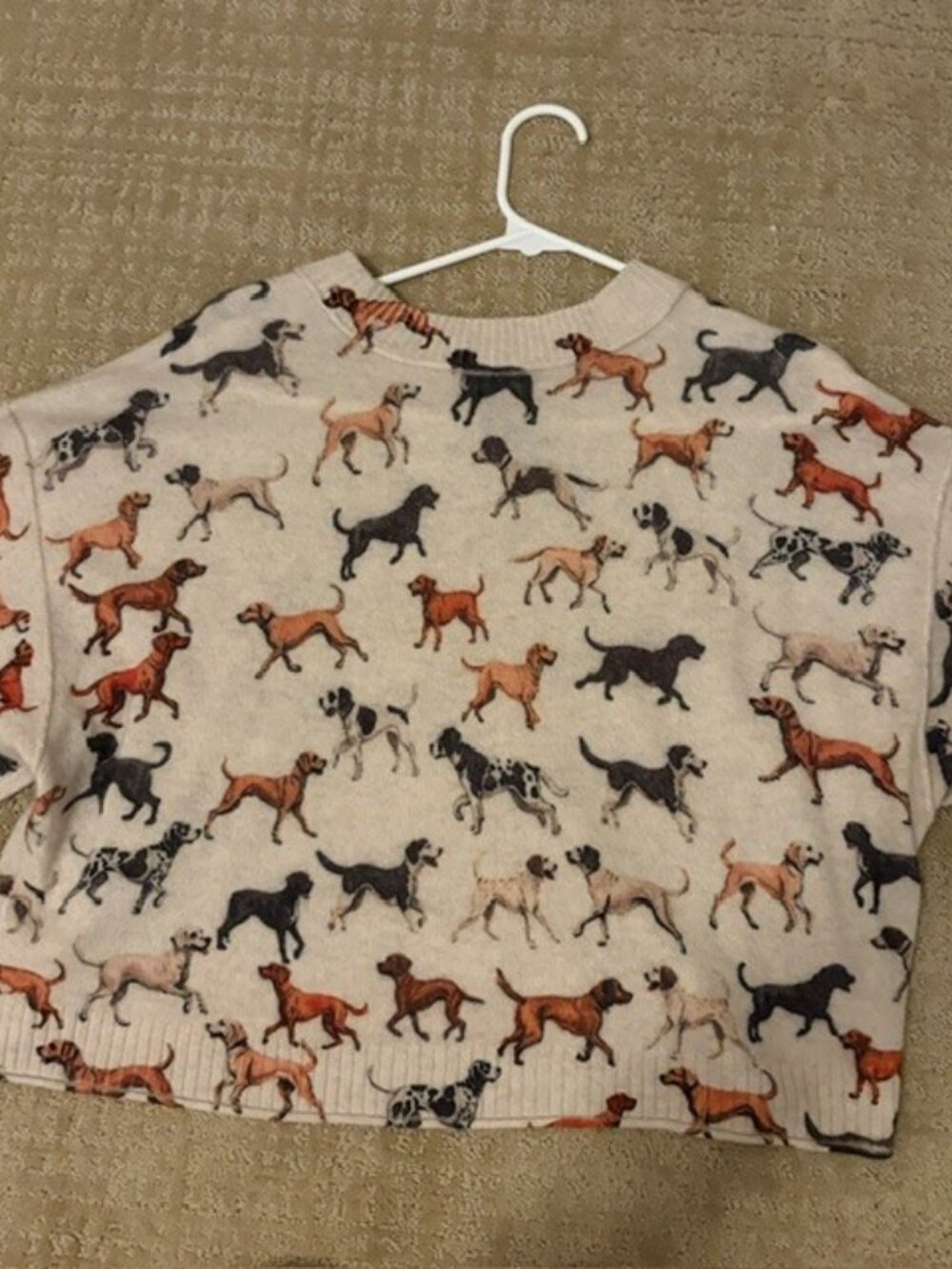 By Anthropologie Goldie Crew-Neck 100% Cashmere Sweater--Dogs--XS - Picture 4 of 4